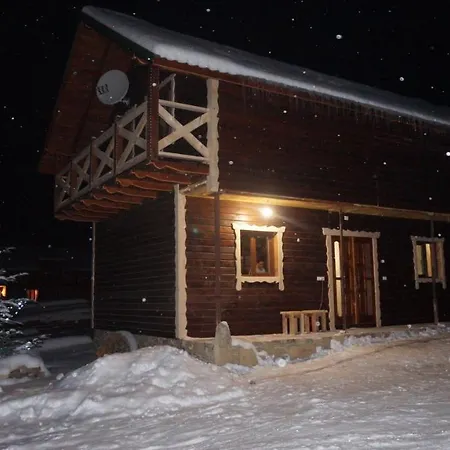 Holiday home Dobryi Hutsul 2 *